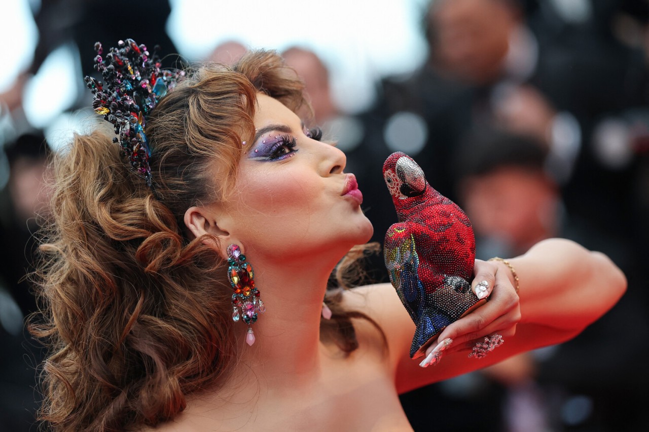 Zəriflikləri ilə qırmızı xalıda diqqət çəkdilər - FOTOLAR